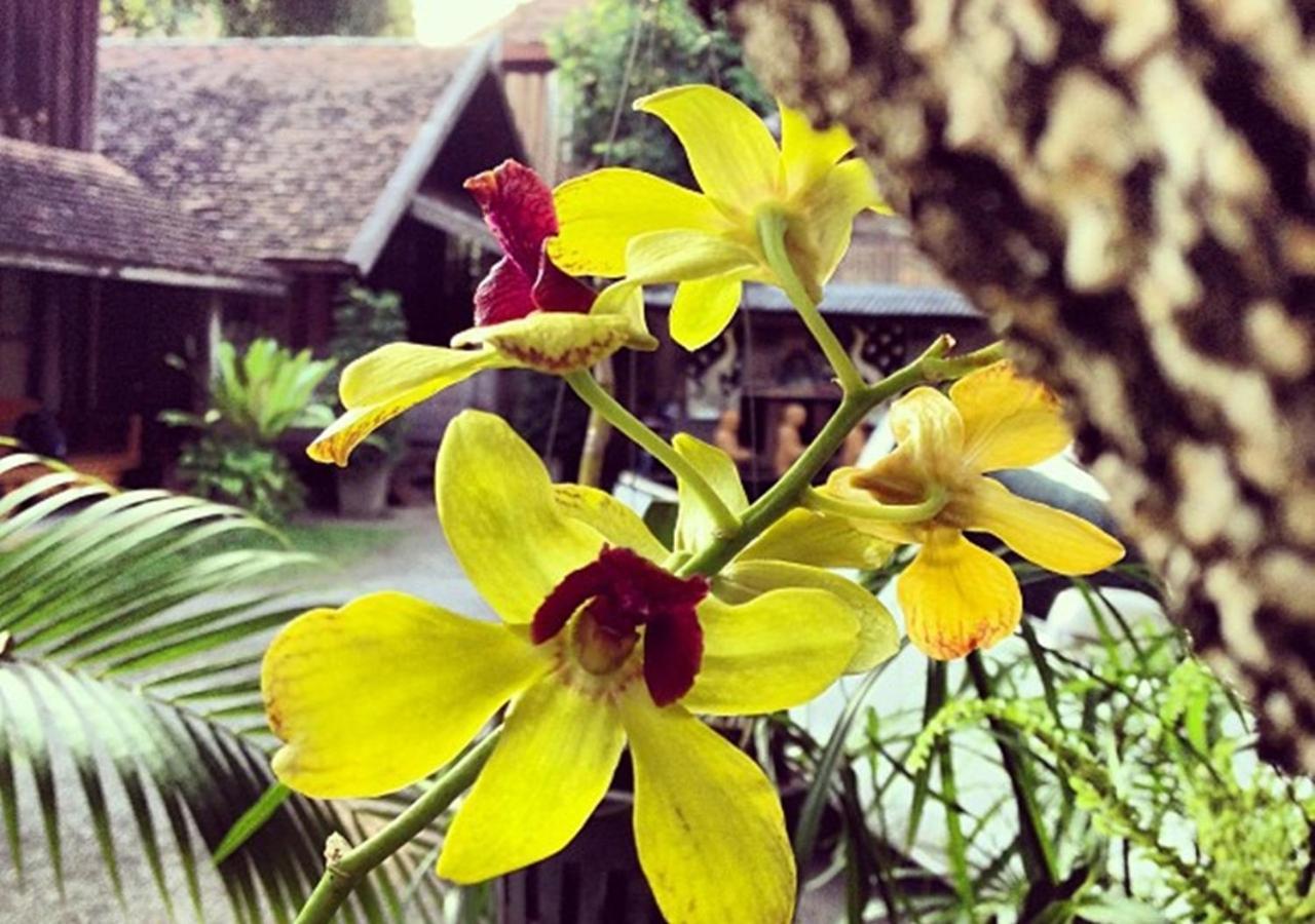 Tanita House Bed & Breakfast Chiang Mai Exterior photo